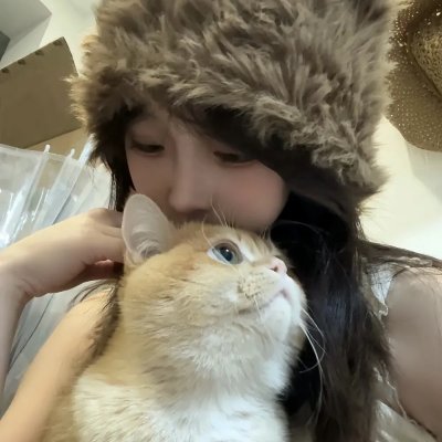山茶花飘零